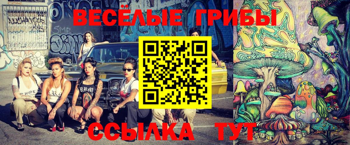 закладки  Галлюциногенные грибы мухоморы  Вход с VPN  Елизово 