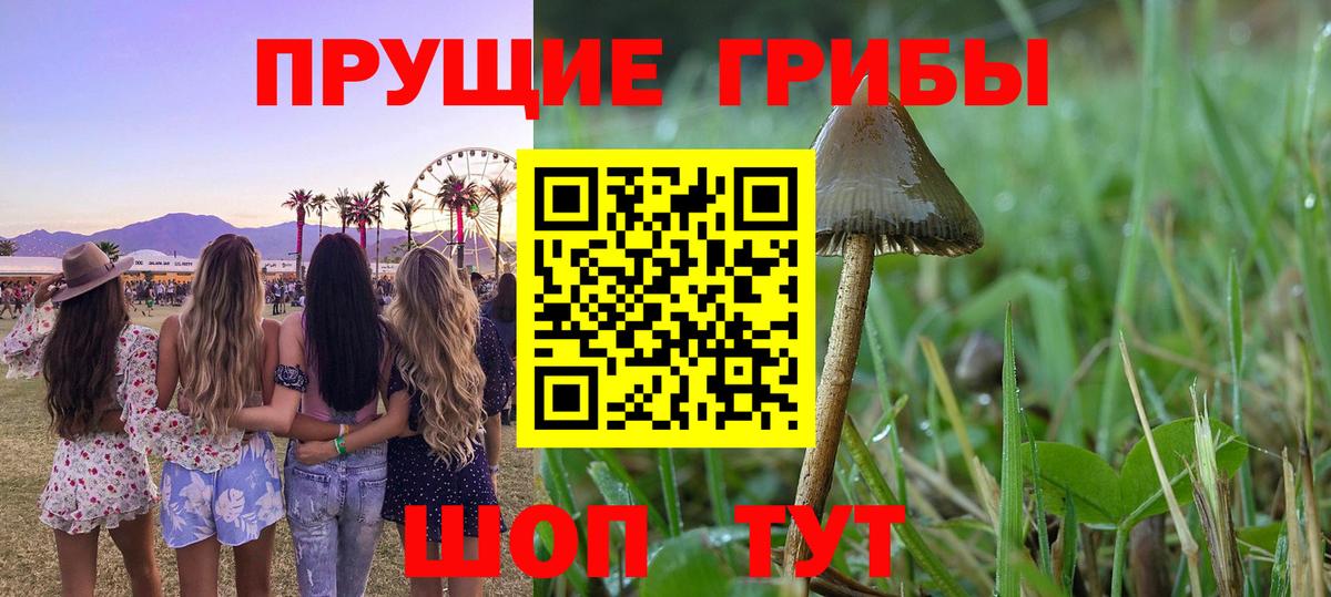 Галлюциногенные грибы ЛСД Елизово